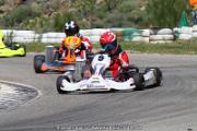 20110501_ales_agnus (3434)